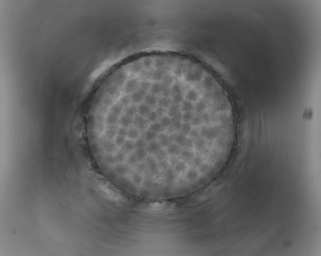 X0000111801160200909031222