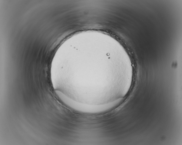 X0000111801161200909031222