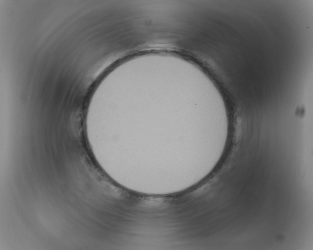 X0000111801162200909031222