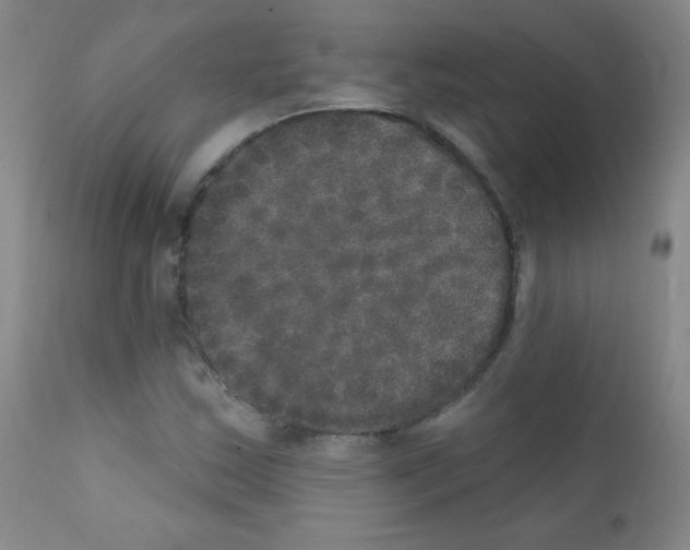 X0000111801163200909031222