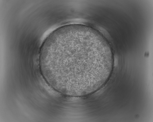 X0000111801164200909031222