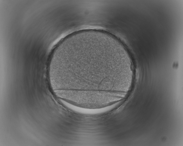 X0000111801165200909031222