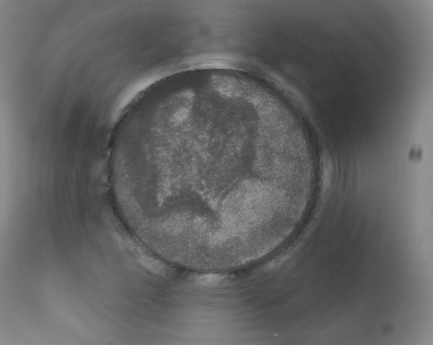 X0000111801166200909031222
