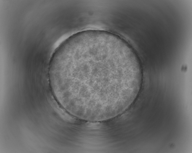 X0000111801168200909031222