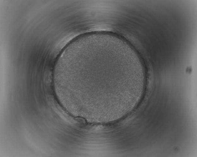 X0000111801169200909031222