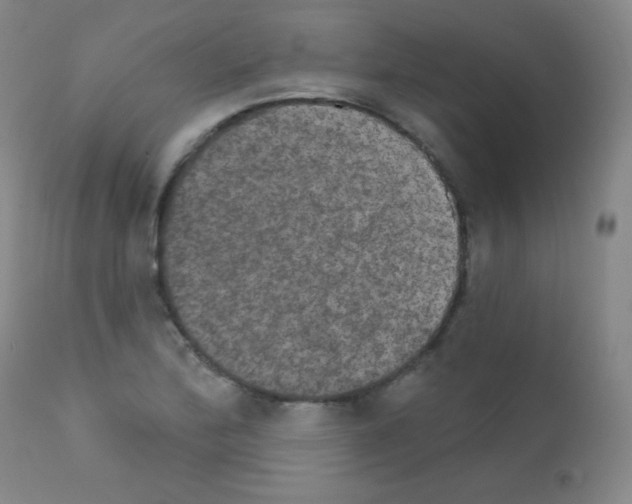 X0000111801172200909031222