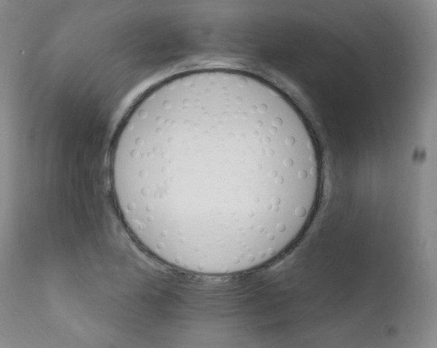 X0000111801174200909031222