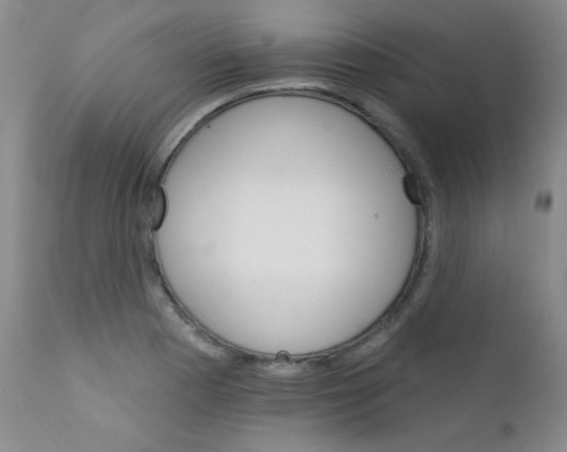 X0000111801177200909031222