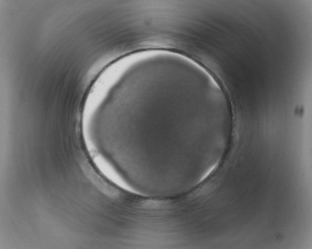 X0000111801179200909031222