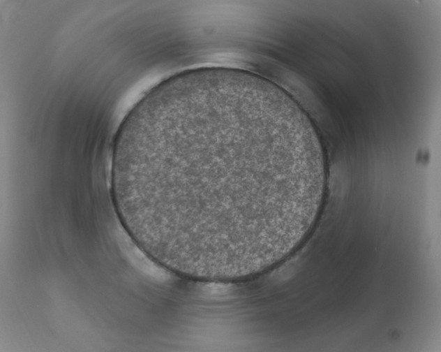 X0000111801180200909031222