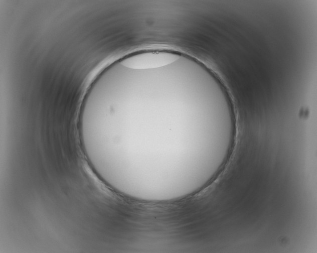 X0000111801181200909031222