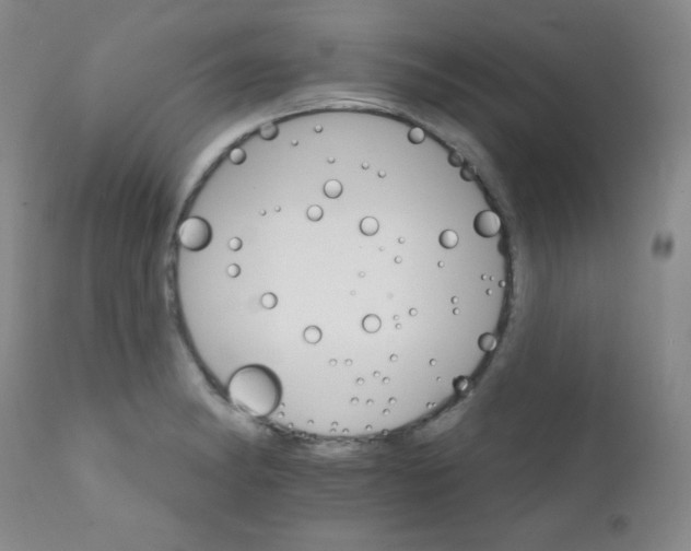 X0000111801182200909031222