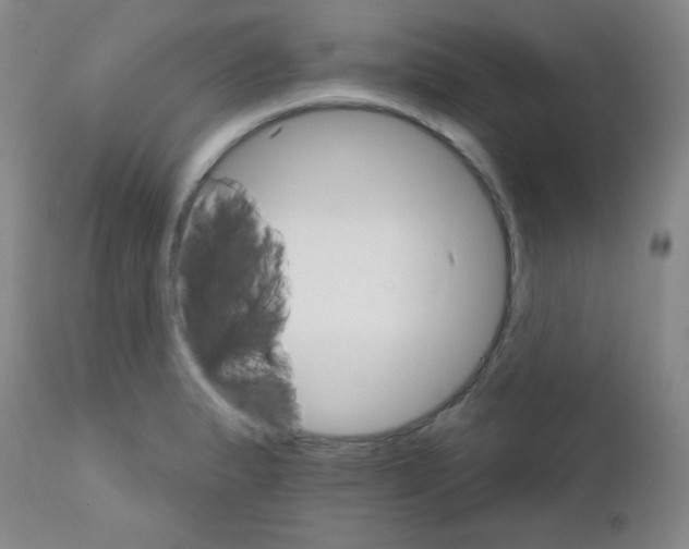 X0000111801183200909031222