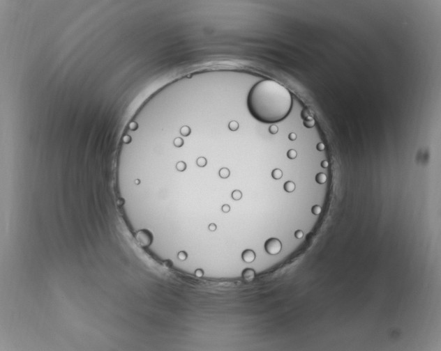 X0000111801186200909031222