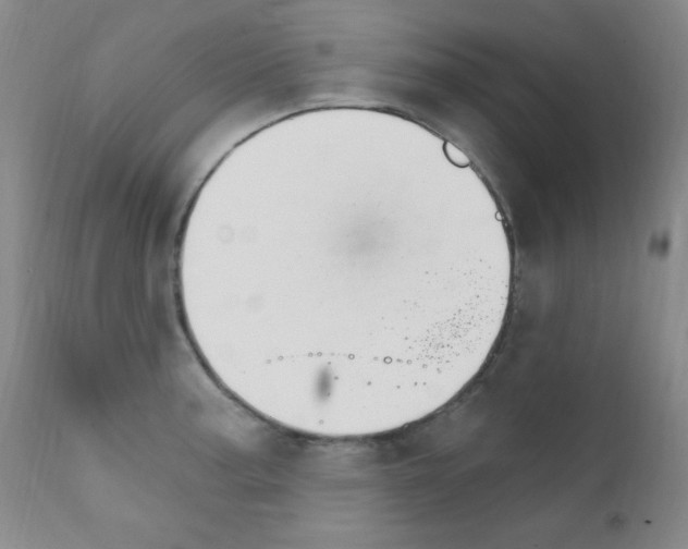 X0000111801187200909031222