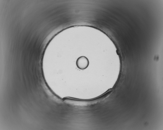 X0000111801189200909031222