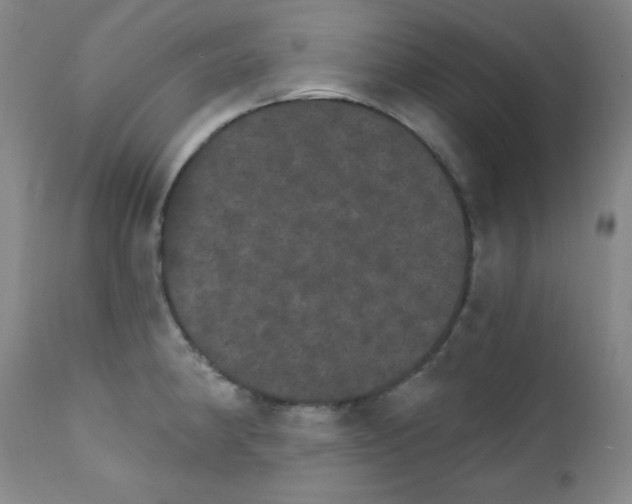 X0000111801190200909031222