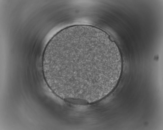 X0000111801192200909031222