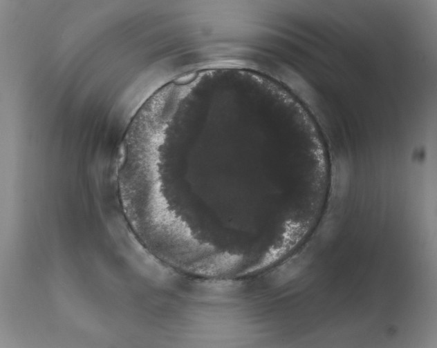 X0000111801193200909031222