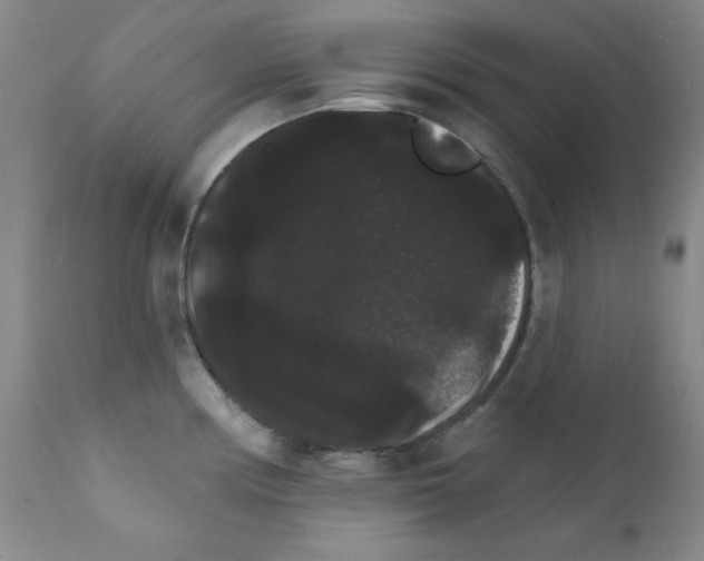 X0000111801194200909031222