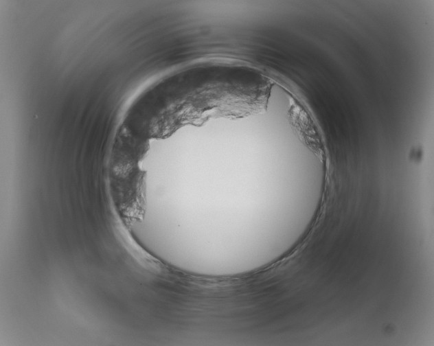 X0000111801195200909031222