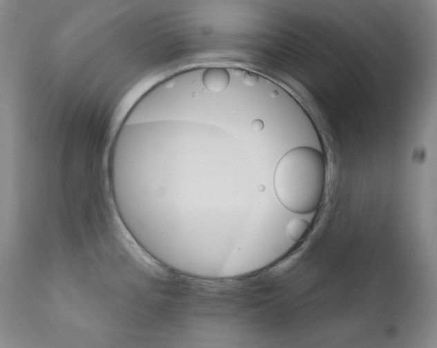 X0000111801196200909031222