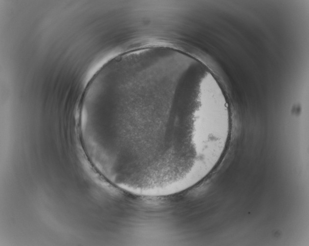 X0000111801198200909031222