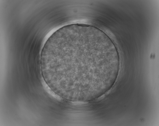 X0000111801200200909031222