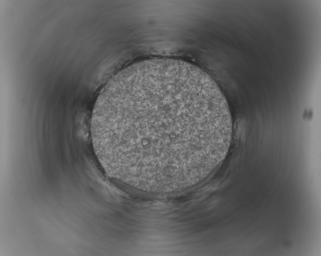X0000111801202200909031221