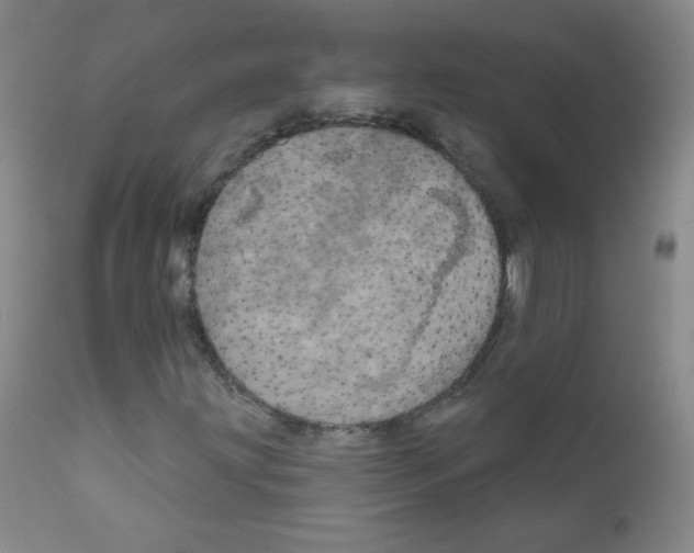 X0000111801203200909031221