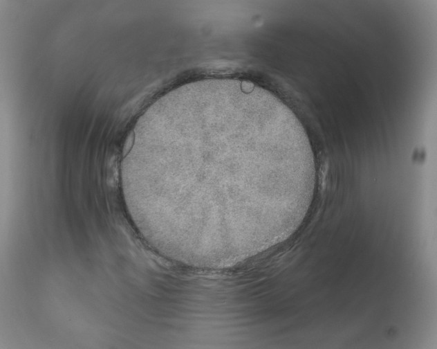 X0000111801204200909031221