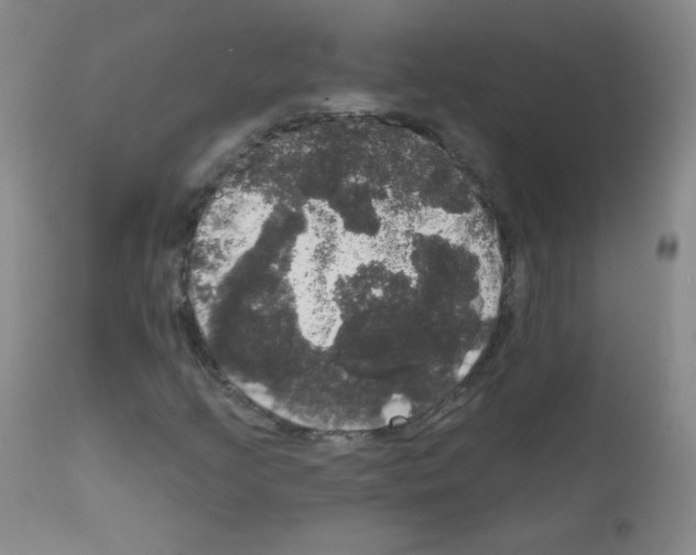 X0000111801205200909031221