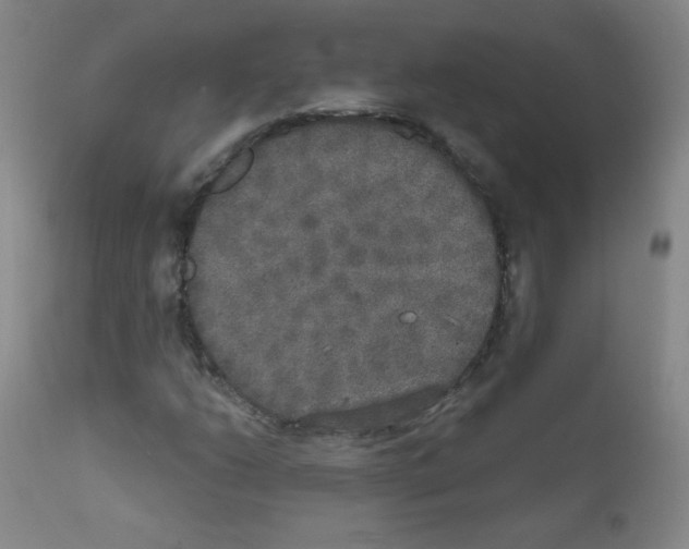 X0000111801206200909031221
