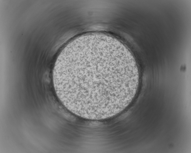 X0000111801209200909031221