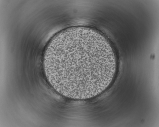 X0000111801210200909031221