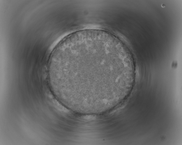 X0000111801212200909031221