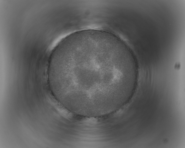 X0000111801214200909031221