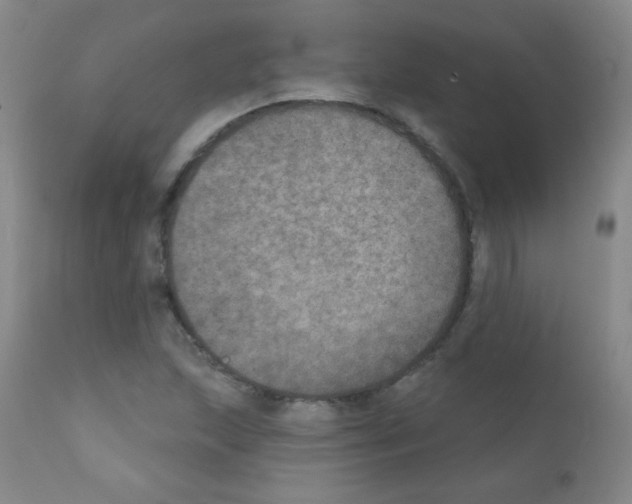 X0000111801215200909031221