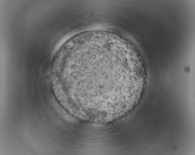 X0000111801216200909031221