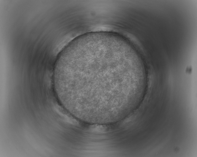 X0000111801217200909031221