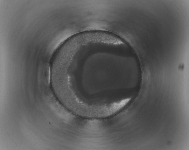 X0000111801219200909031221