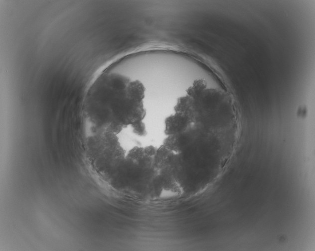 X0000111801220200909031221