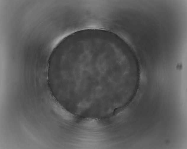 X0000111801222200909031221