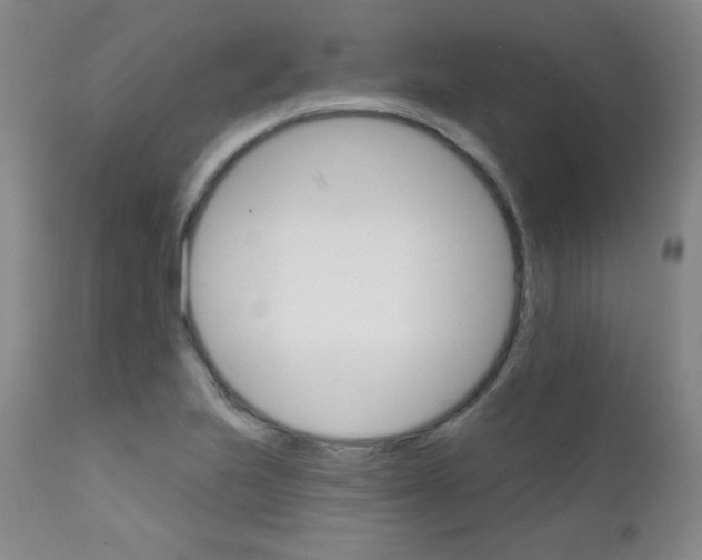 X0000111801223200909031221