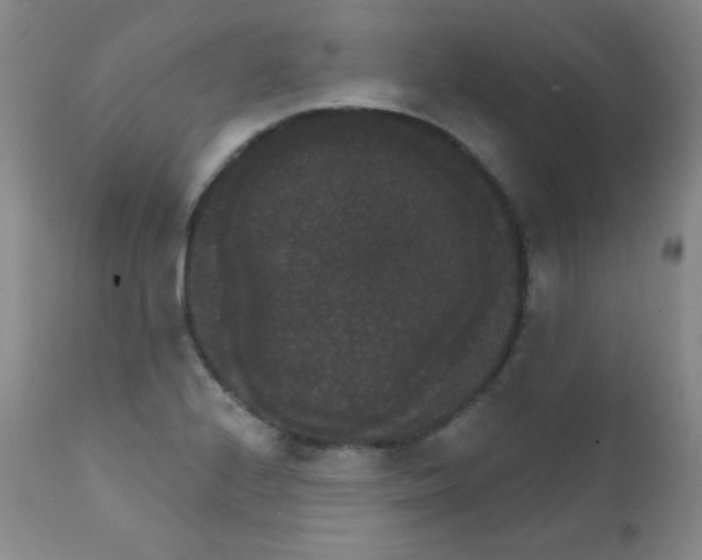 X0000111801224200909031221