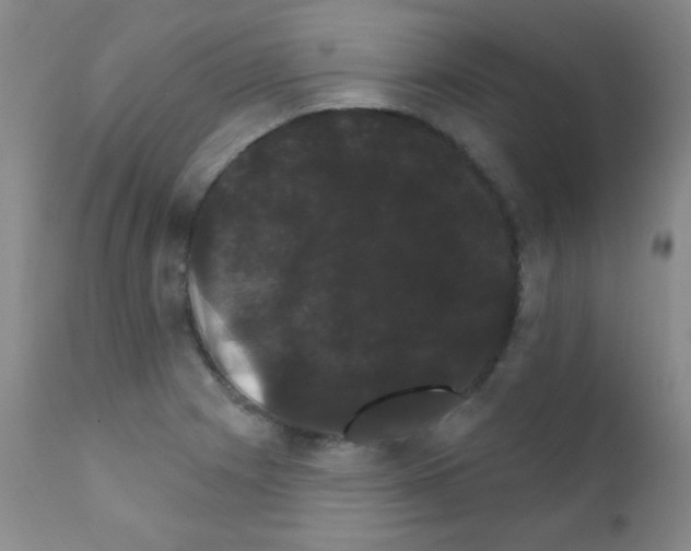 X0000111801225200909031221