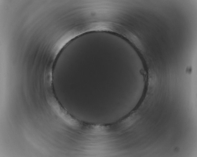 X0000111801226200909031221