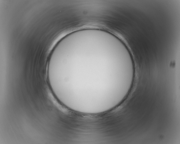 X0000111801227200909031221