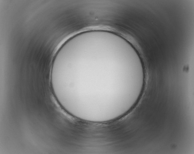 X0000111801228200909031221