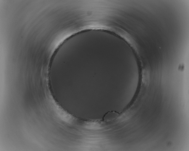 X0000111801229200909031221